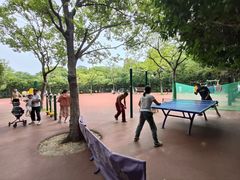 -杭州城北体育公园