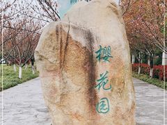 -高东镇樱花园