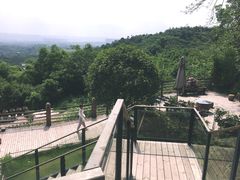 -远山有窑