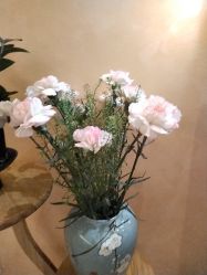 -御品•瑶浴灸疗SPA