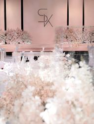 -明典婚礼策划·婚车租赁·婚纱摄影