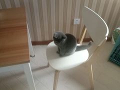 -Rabbit Cafe私房西餐甜点咖啡(栖霞路店)