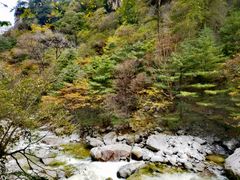 -青峰峡国家森林公园