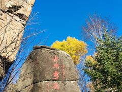 -汤旺河林海奇石景区