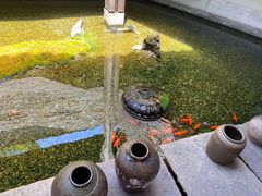 -几荷·恰似故人来(秀水广场店)