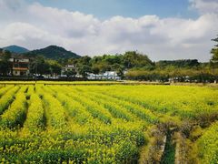 -红山村