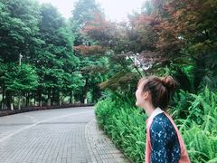 -龙头寺公园