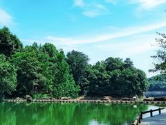 -千岛湖东南湖区