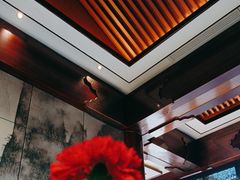 -临江·阅炉