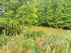 -桤木河湿地公园