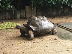 -广州长隆飞鸟乐园