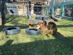 -西安秦岭野生动物园