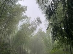 -仙霞关景区