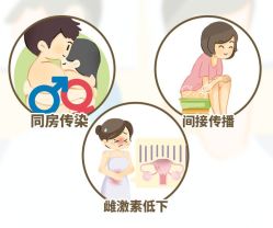 -邢台妇产医院