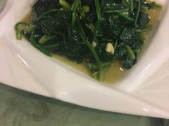 -丁老爷子苏香圆
