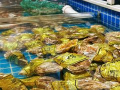 -金龙·打边炉(南京西路店)