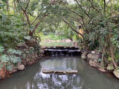 -呀诺达热带雨林