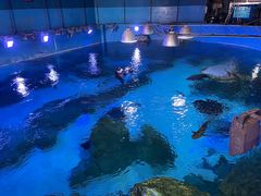 -海合安成都极地海洋公园