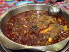 -金鼎雪山牦牛杂火锅(理县总店)