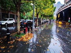 -天津五大道文化旅游区