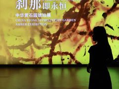 -中华赏石园