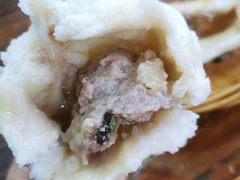 葱肉包-清真石家包子(大皮院总店)