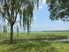 -野鸭湖国家湿地公园