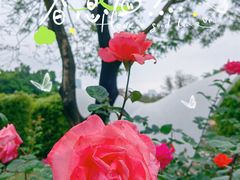 -人民公园(罗湖区)