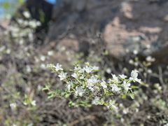 -云峰山自然风景区