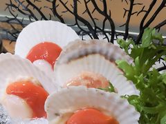 扇贝-湊湊火锅·茶憩(上海合生汇店)