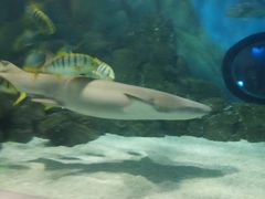 -常州海昌海洋探索馆