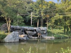 -宁波野生动物园