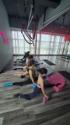 -桃秘钢管舞 Peach Pole Fitness