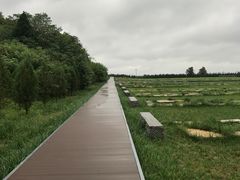-汉景帝阳陵博物院