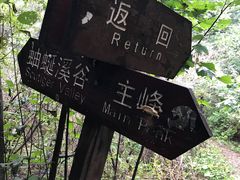 -雾灵西峰