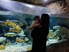 -多彩贵州城极地海洋世界