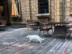 -马勒别墅·中餐厅