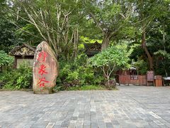 -野象谷景区