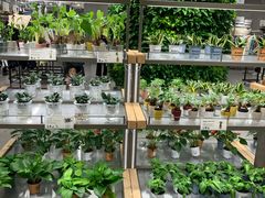 -鹿岛生活(熙地港店)