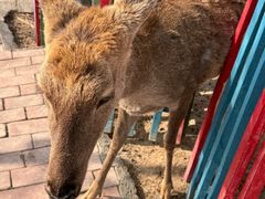 -水上乐园·欢乐世界