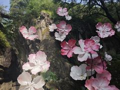-秦岭终南山世界地质公园翠华山景区