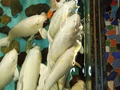 -波塞冬旅游度假区