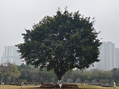 -成都中医药大学(温江校区)
