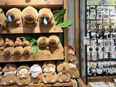-万达广场(福州金融街店)