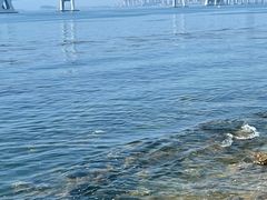 -星海湾跨海大桥