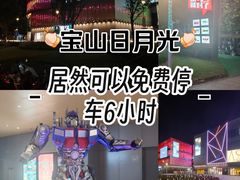-宝山日月光中心