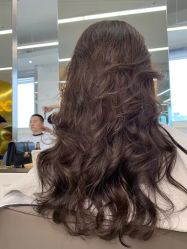 -潘多拉Hairsalon