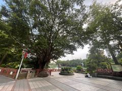 -荔湾湖公园