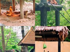 -广州长隆野生动物世界