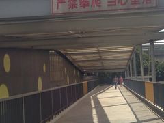 -上海智力产业园